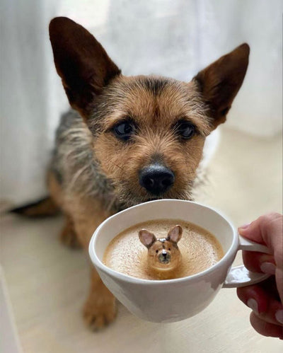 Hidden Ceramic Dog Figurine Coffee Cup | 3 x 4 inches
