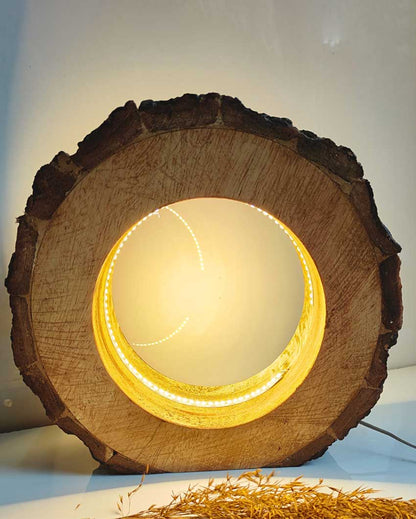 Handcrafted Mango Wood Bark LED Lamp With 12V Driver | 9 x 3 inches