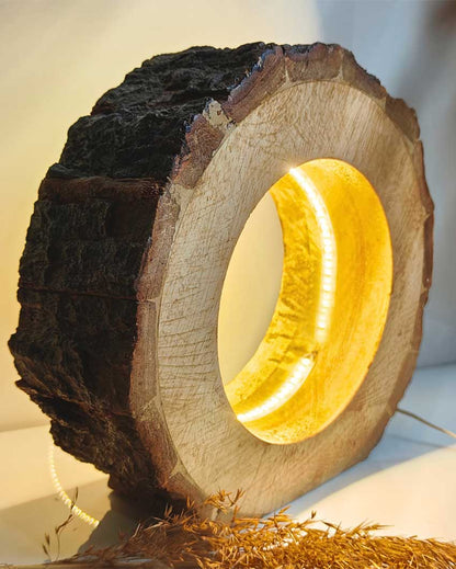 Handcrafted Mango Wood Bark LED Lamp With 12V Driver | 9 x 3 inches