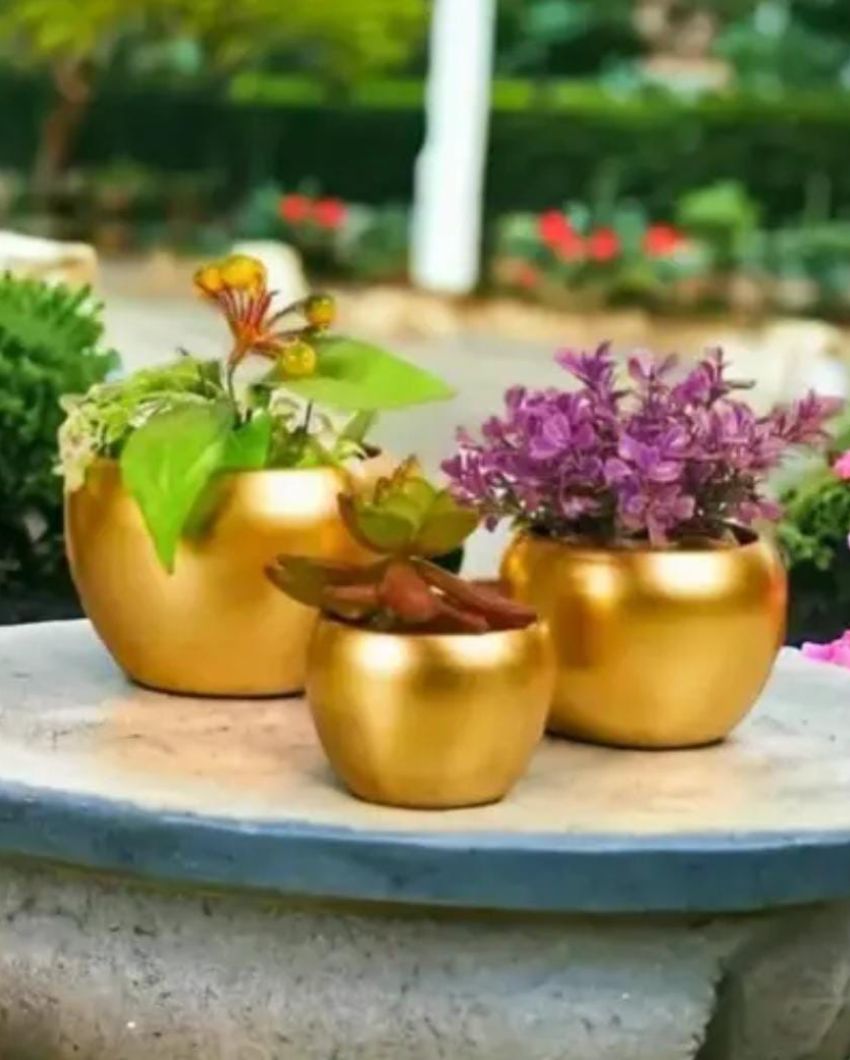 Gold Iron Apple Shape Desk Pot Planters | Set of 3