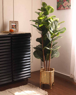 Posh Hand Craft Cane Planter Stand