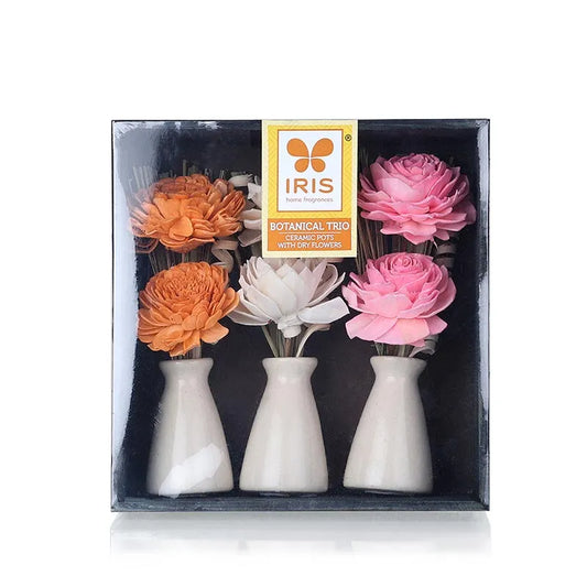 Diege  Fragrances Botonical Trio Ceramic Pots With Dry Flowers In a Wooden Box Default Title