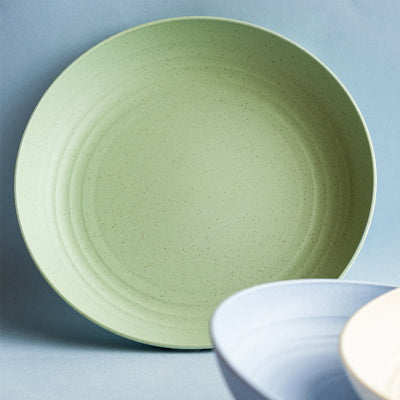 Mint Green Wheat Straw Dinner Plates | Set of 2 Default Title