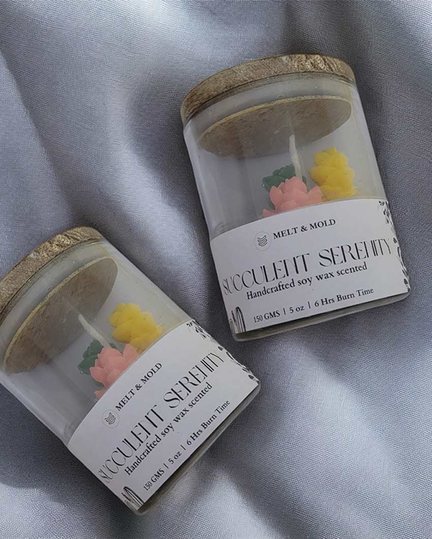 Nature Lovers Succulent Serenity Jar Soy Wax Candle | 10.2 x 7.6 cm / 4 x 3 inches