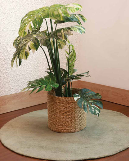 Earthy Touch Natural Kauna Grass Planter