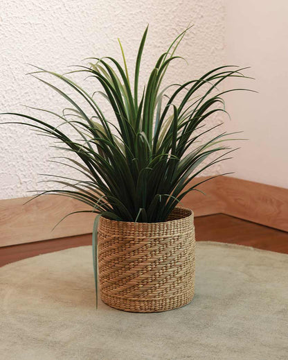 Earthy Touch Natural Kauna Grass Planter