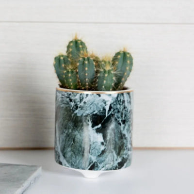 Ceramic Marble Planter Default Title