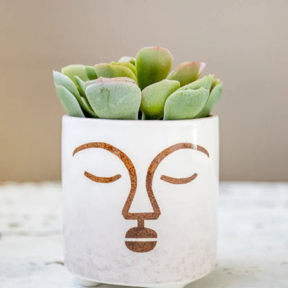 Mini Planter with Terracotta Face Design Default Title