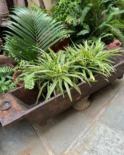 Rustic Elegance Long Wooden Planter with Metal | 51 x 15 x 10 inches