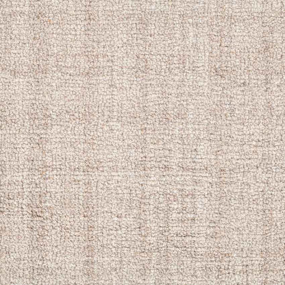 Elegant Design Beige Shade Hand-Tufted Wool Area Rug