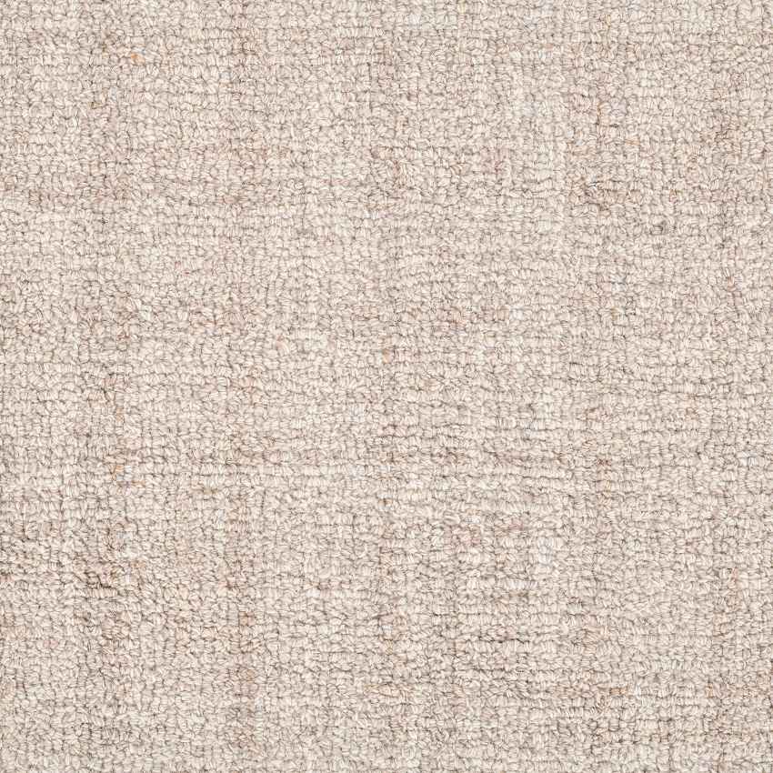 Elegant Design Beige Shade Hand-Tufted Wool Area Rug