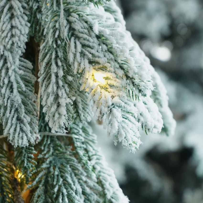 Frosty Downward Branches Table Top Christmas Tree with Lights Display | 9 x 30 inches