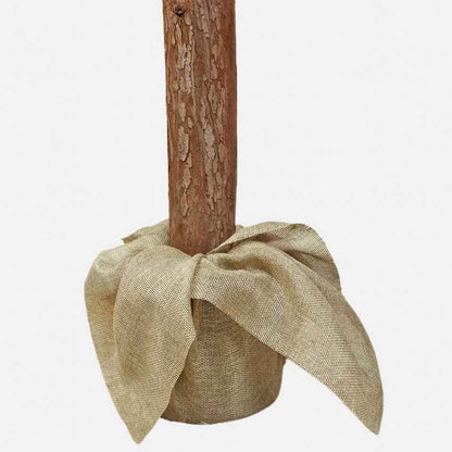 Wooden Bark Artificial Christmas Tree Accent Decoration | 38 x 71 inches