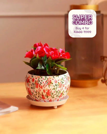 The Lily White Floral Metal Pot With Saucer Plate