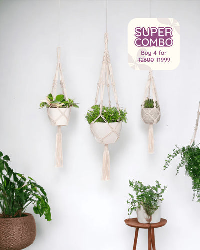 Artisanal Knot Pattern Rope Plant Hangers | Set of 3