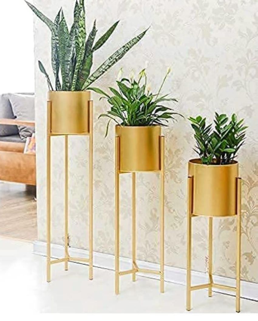 Tall Indoor Plant Stand with Planter Pot | Set of 3