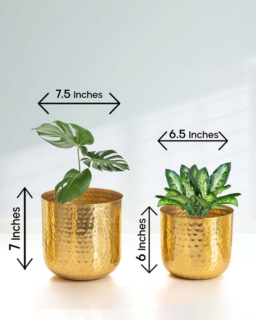 Luxe Hammered Metal Planters | Set Of 2 | Plant not included