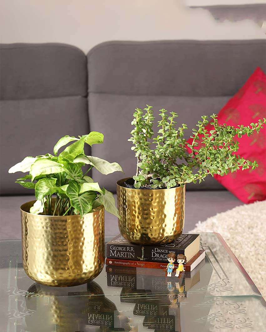 Luxe Hammered Metal Planters | Set Of 2 | Plant not included