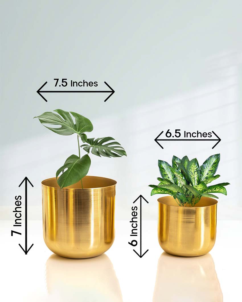 Luxe Metal Planters | Set Of 2 | Plant not included