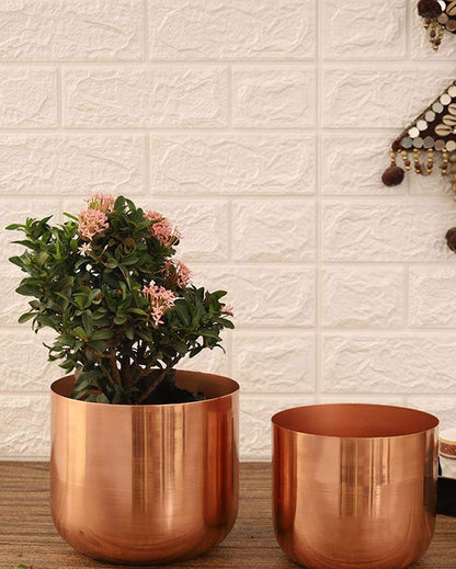 Luxe Metal Planters | Set Of 2 | Plant not included