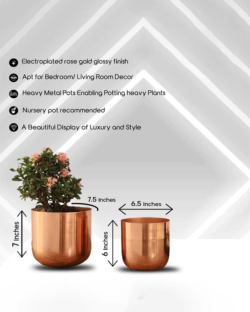 Luxe Metal Planters | Set Of 2 | Plant not included