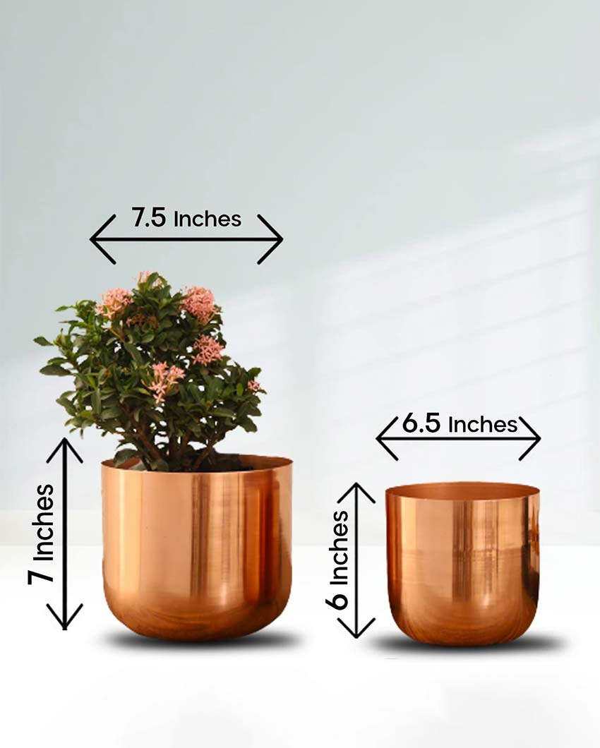 Luxe Metal Planters | Set Of 2 | Plant not included