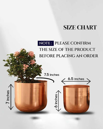 Luxe Metal Planters | Set Of 2 | Plant not included