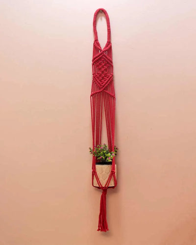 Crisscross Macrame Plant Hanger