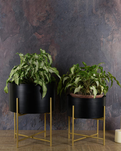 Black Planter with Golden Detachable Stand | Single