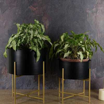 Black Planter with Golden Detachable Stand | Single