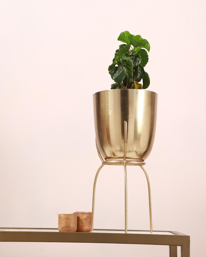 Permium Metal Planter with Stand | 12 Inches