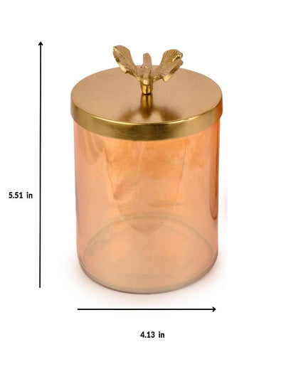 Waterfly Gold Finish Glass Jars | Set Of 2 | 550 ml