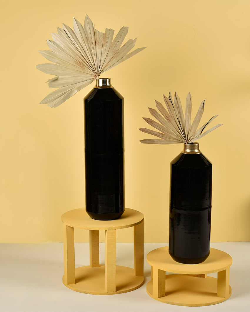 Rajni Black Metal Vases | Set Of 2