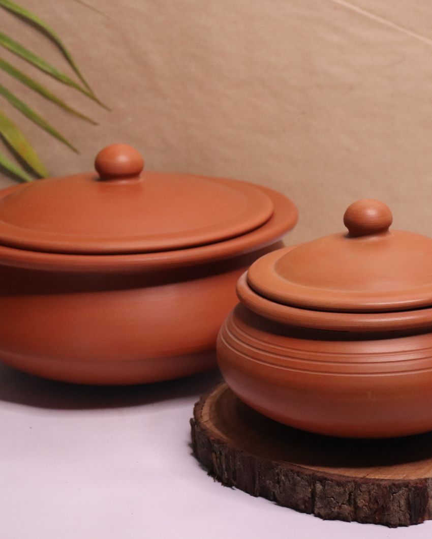 Kerala Handi & Dahi Handi | Safe For All Cooktops
