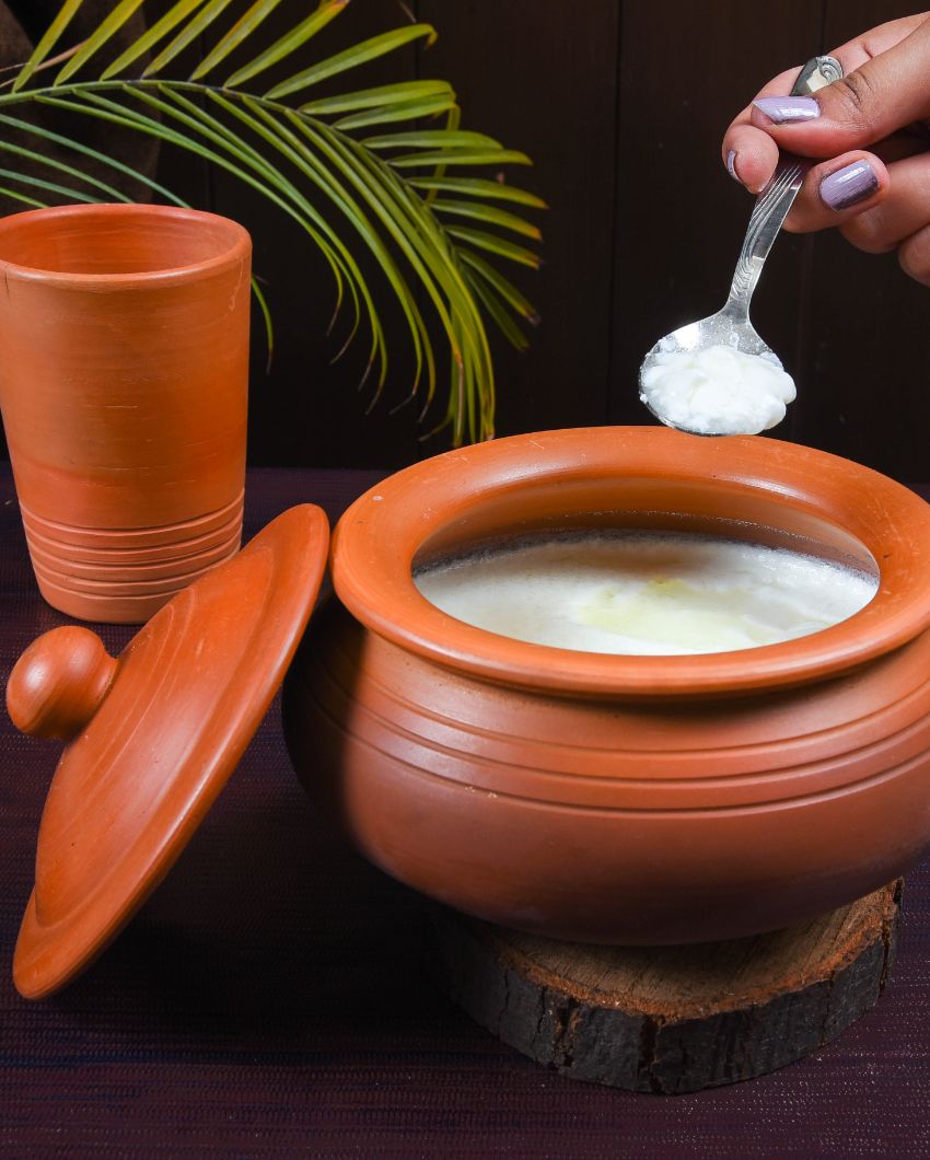 Kerala Handi & Dahi Handi | Safe For All Cooktops
