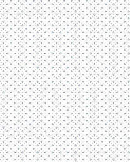 Velvetnest Blue Cotton Single Bed Dohars | Set of 2 | 61 x 88 inches
