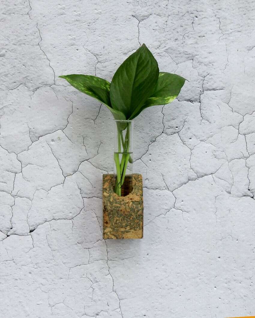 Cork Tapered Fridge Planters | Set Of 2 | 2 x 3 inches