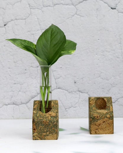 Cork Tapered Fridge Planters | Set Of 2 | 2 x 3 inches