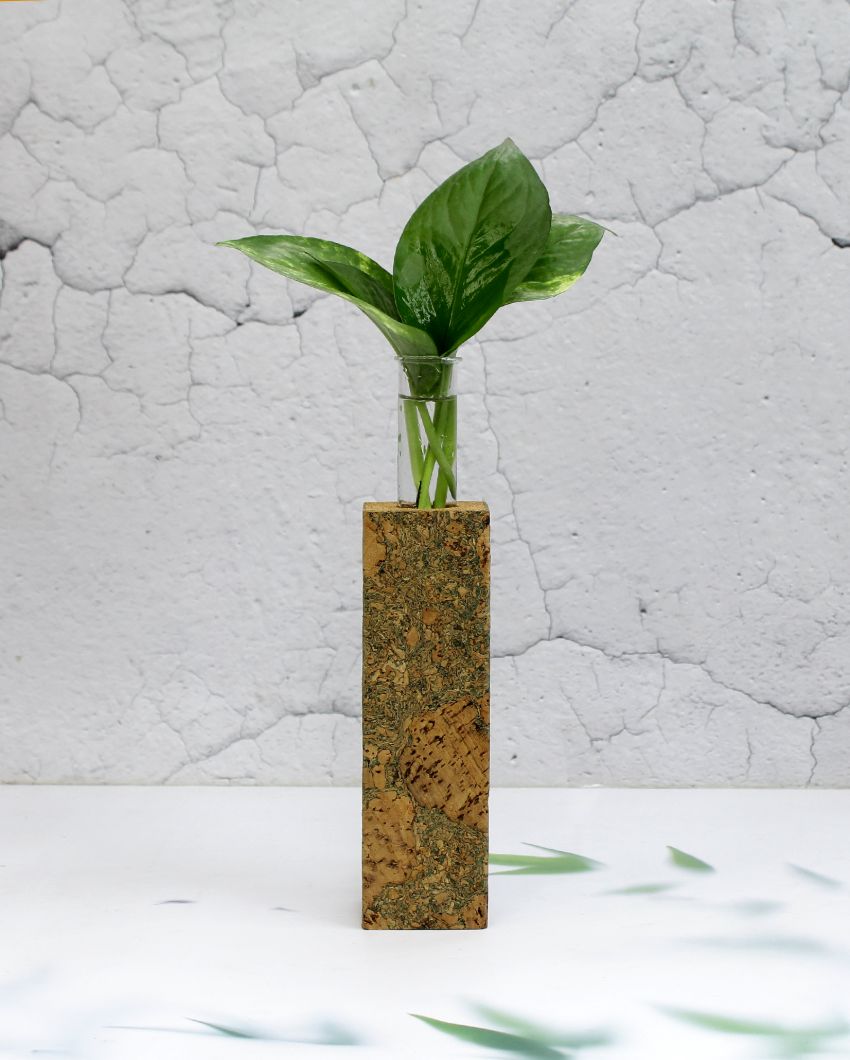 Long Cork Fridge Planters | Set Of 2 | 2 x 7 inches