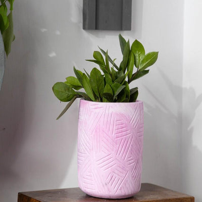 Imposing Robust Structure Megaoblik Concrete Planter | 5 x 5 x 6 inches