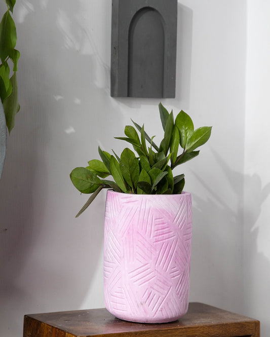 Imposing Robust Structure Megaoblik Concrete Planter | 5 x 5 x 6 inches