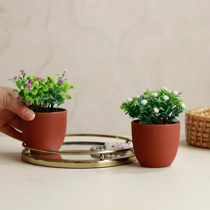 The Dainties | Set of 2 Small Artificial Plants | 6 inches each - Dusaan