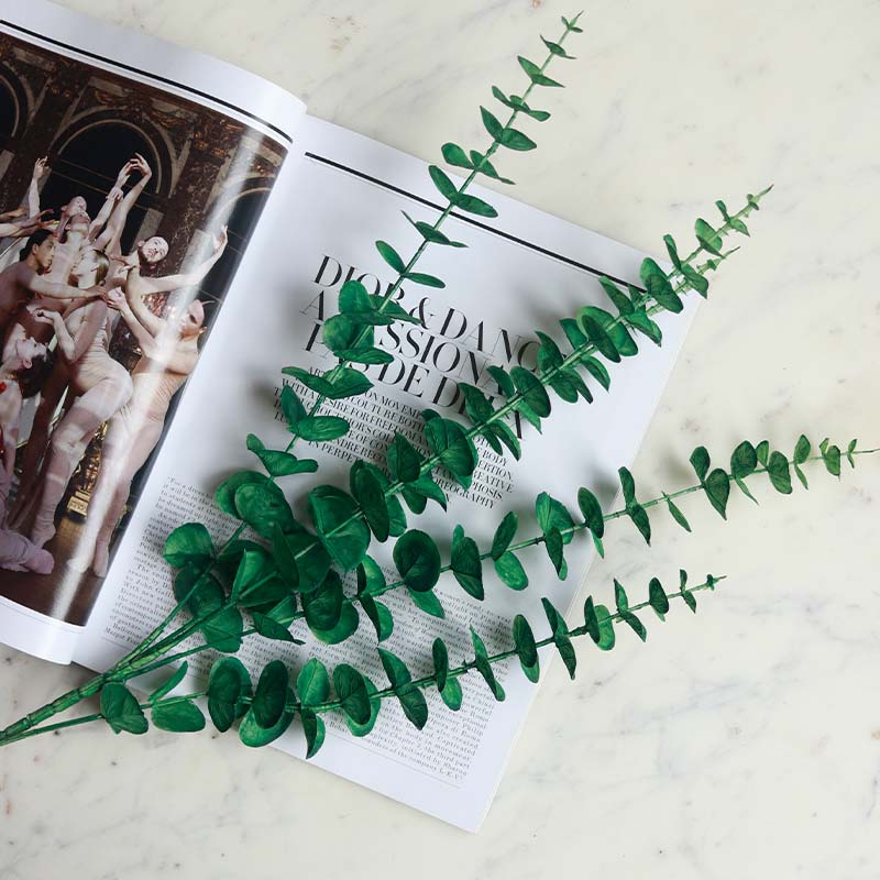 Artificial Green Eucalyptus Sticks | Set of 6