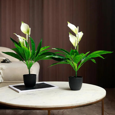 Artificial Peace Lily Plants in Pot | 18 inch | Set of 2 | Multiple Colors