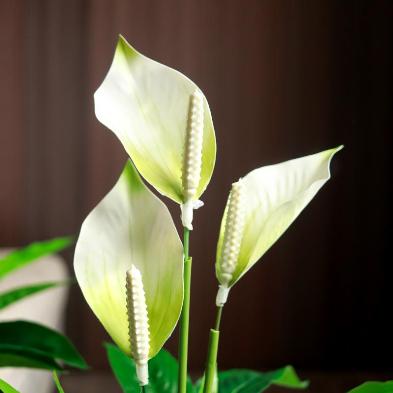 Artificial Peace Lily Plants in Pot | 18 inch | Set of 2 | Multiple Colors