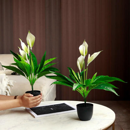 Artificial Peace Lily Plants in Pot | 18 inch | Set of 2 | Multiple Colors
