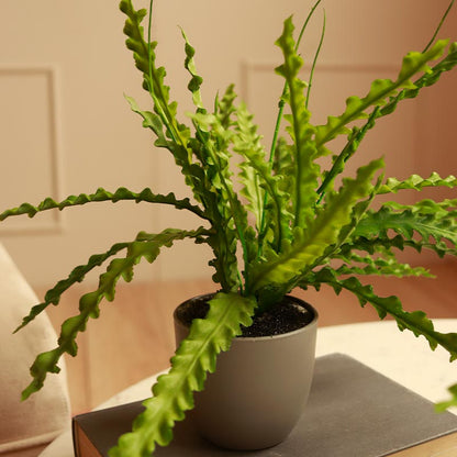 Artificial Fern Plant in Pot | Set of 2