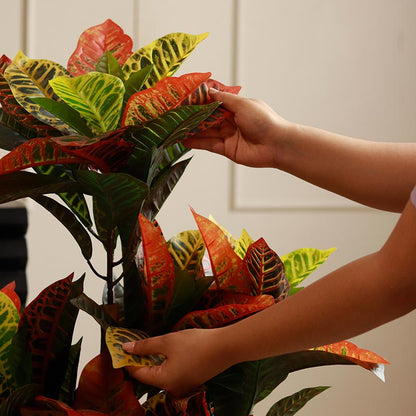 The Kusai | Croton Artificial Plant | 4ft