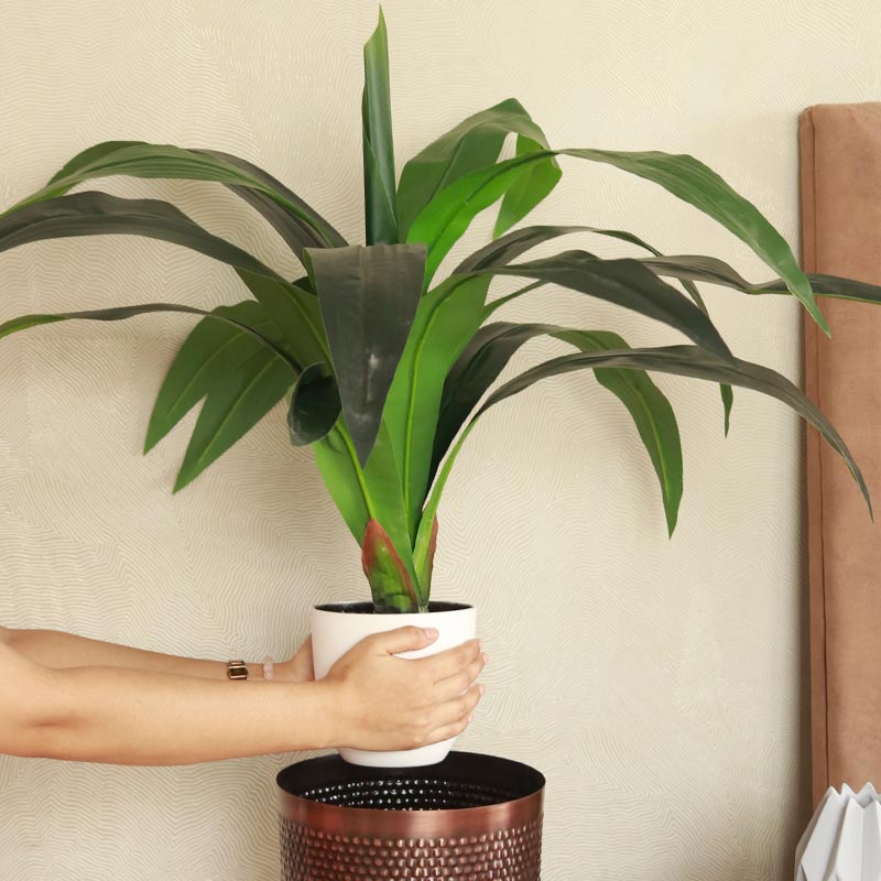 The Pico | Artificial Dragon Plant with Pot