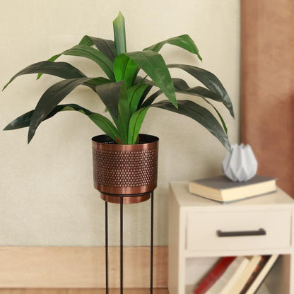 The Pico | Artificial Dragon Plant with Pot